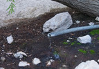 photo thumbnail #8
