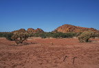 photo thumbnail #2