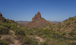 photo thumbnail #5