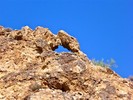 photo thumbnail #6