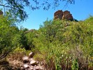 photo thumbnail #8