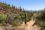 photo thumbnail #8
