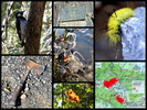 photo thumbnail #15