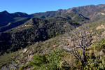 photo thumbnail #5