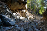photo thumbnail #13