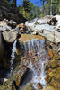 photo thumbnail #10