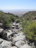 photo thumbnail #3