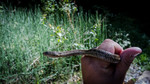 photo thumbnail #15
