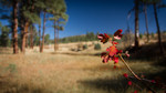 photo thumbnail #12