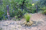 photo thumbnail #11