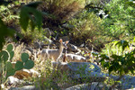 photo thumbnail #14
