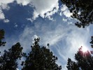 photo thumbnail #10