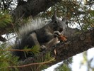 photo thumbnail #11