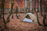photo thumbnail #4
