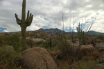 photo thumbnail #3