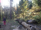 photo thumbnail #4