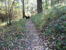photo thumbnail #5
