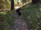 photo thumbnail #6