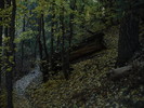 photo thumbnail #8