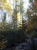 photo thumbnail #12