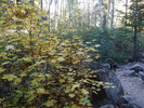 photo thumbnail #13