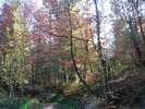 photo thumbnail #14