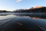 photo thumbnail #11