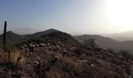 photo thumbnail #2
