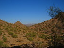 photo thumbnail #3