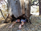 photo thumbnail #6