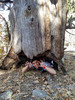photo thumbnail #7