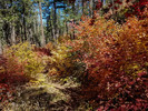 photo thumbnail #14