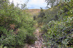 photo thumbnail #5