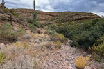 photo thumbnail #6