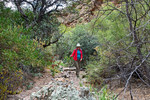 photo thumbnail #8