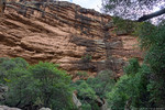 photo thumbnail #11