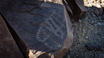 photo thumbnail #15