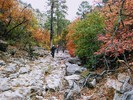 photo thumbnail #15