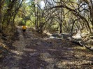 photo thumbnail #10
