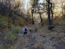 photo thumbnail #11