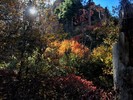 photo thumbnail #12