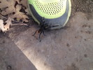 photo thumbnail #8