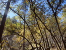 photo thumbnail #10