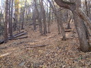 photo thumbnail #3