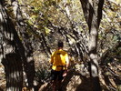 photo thumbnail #4