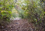 photo thumbnail #7
