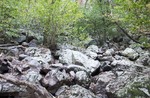 photo thumbnail #8