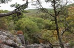 photo thumbnail #9