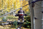 photo thumbnail #10