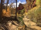 photo thumbnail #5